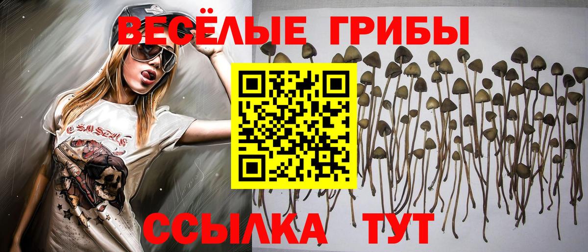 Галлюциногенные грибы ЛСД  Вход с VPN  Узловая 