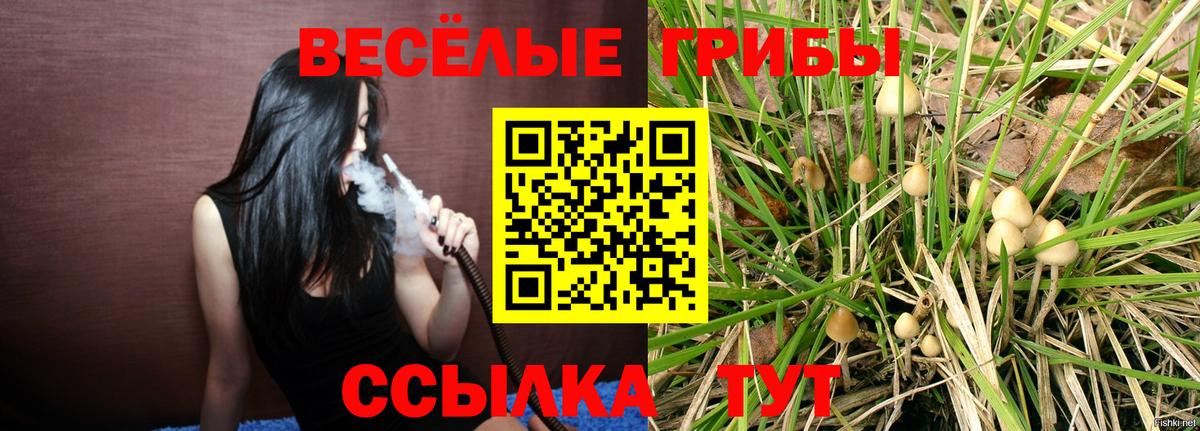 Галлюциногенные грибы ЛСД Узловая