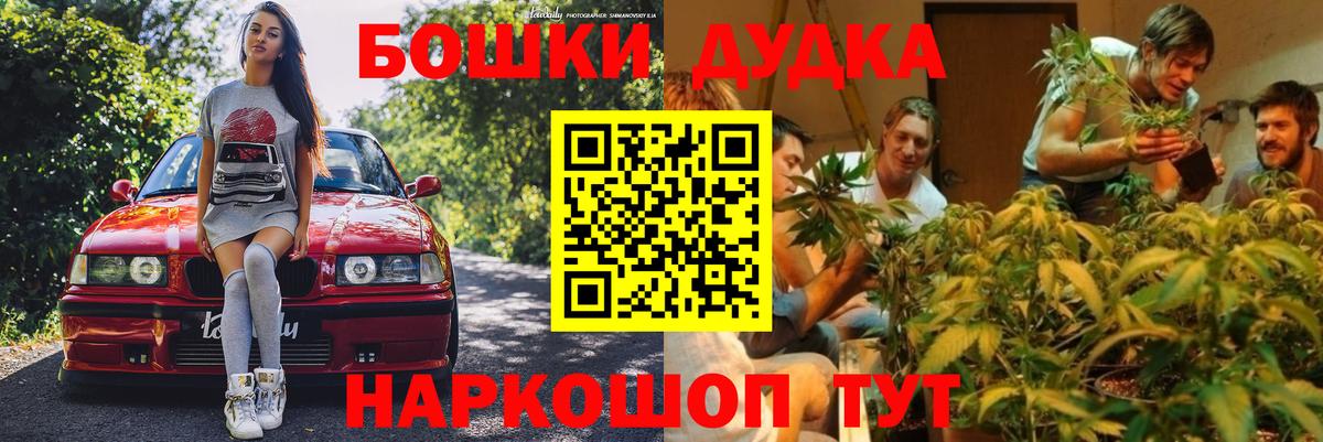 Шишки марихуана конопля  Вход с VPN  Конопля план  Узловая 