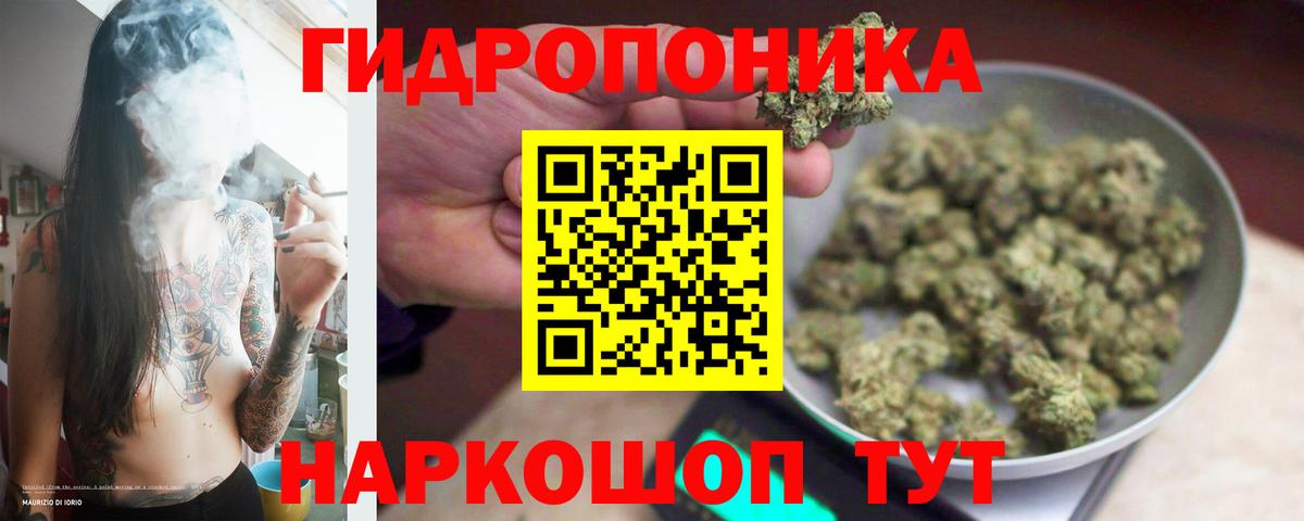 Бошки Шишки индика Узловая